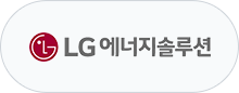LG 에너지솔루션